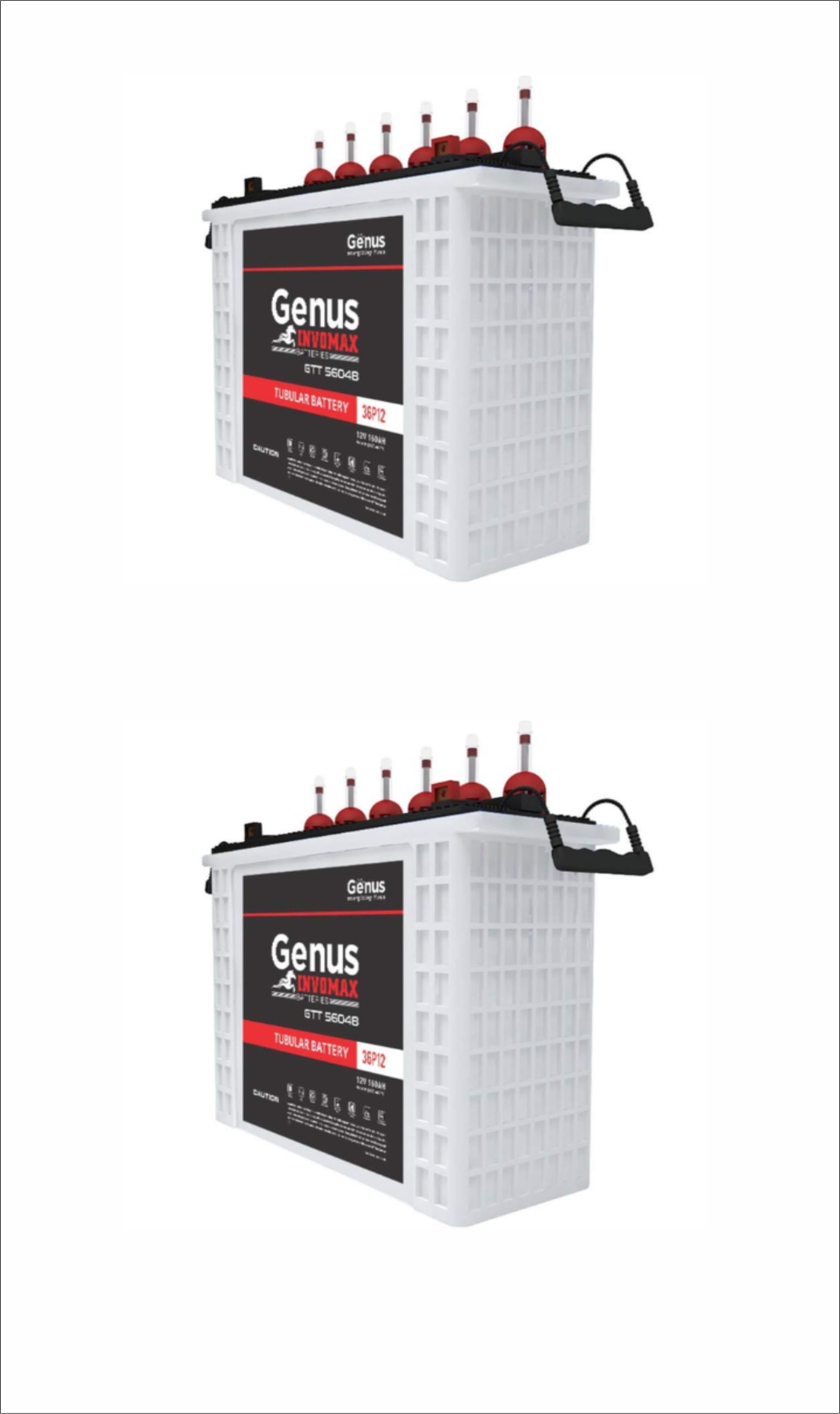 Genus Tubular Carbon Inverter Battery – 230AH/ 12V X 2units